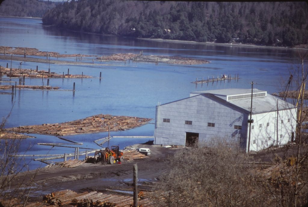 pulp and paper mill pulp and paper mill